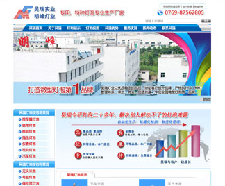 醫(yī)用燈泡網(wǎng)絡營銷效果顯著 醫(yī)用燈泡網(wǎng)絡營銷效果顯著